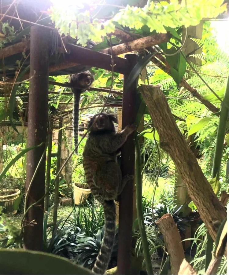 Pousada Canto Das Corujas São Roque Esterno foto